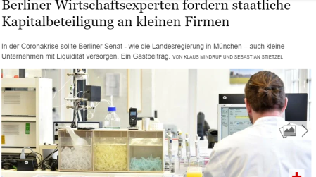 Screenshot Gastbeitrag Tagesspiegel 