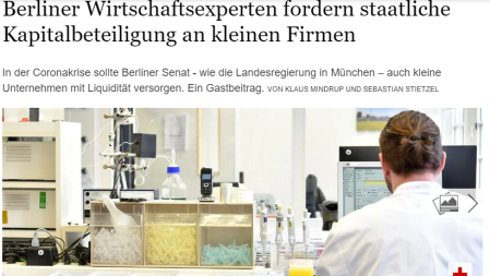 Screenshot Gastbeitrag Tagesspiegel