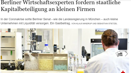 Screenshot Gastbeitrag Tagesspiegel 